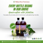 Noni Juice from Hawaii