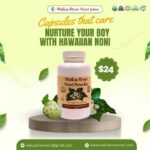 Organic Noni Powder
