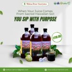 Noni juice organic